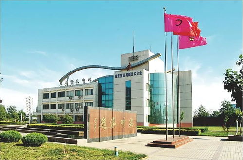 技術(shù)賦能，破局前行 山東糧食產(chǎn)業(yè)破解同質(zhì)化困局的轉(zhuǎn)型實(shí)踐